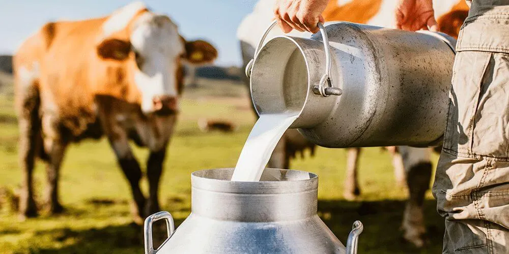 Produtores de leite do PR criam associação para enfrentar crise e desafios do setor