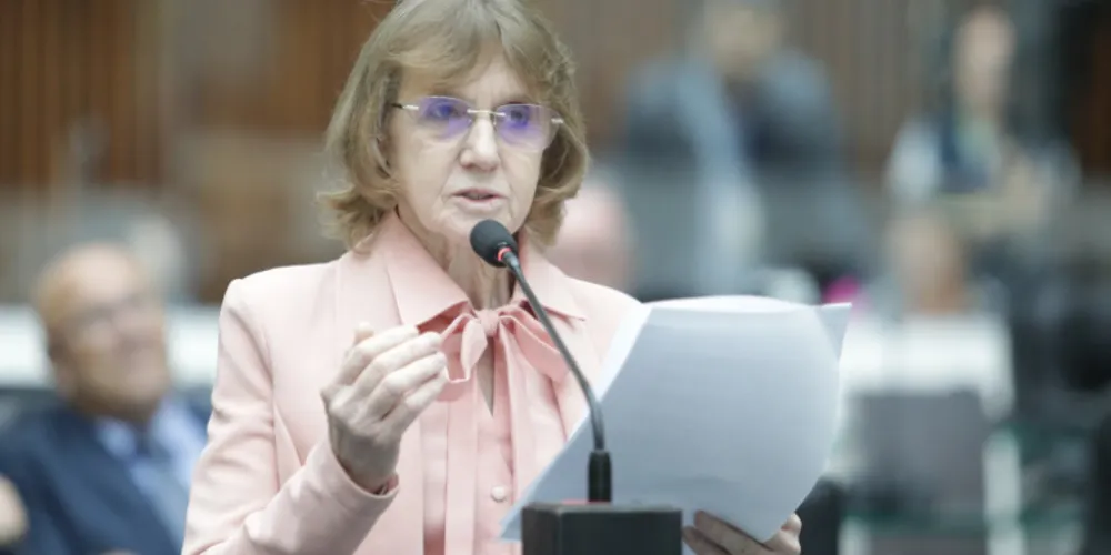 A deputada Luciana Rafagnin (PT)