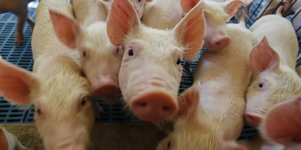 Estudo aponta que salário, isoladamente, não mantém funcionários