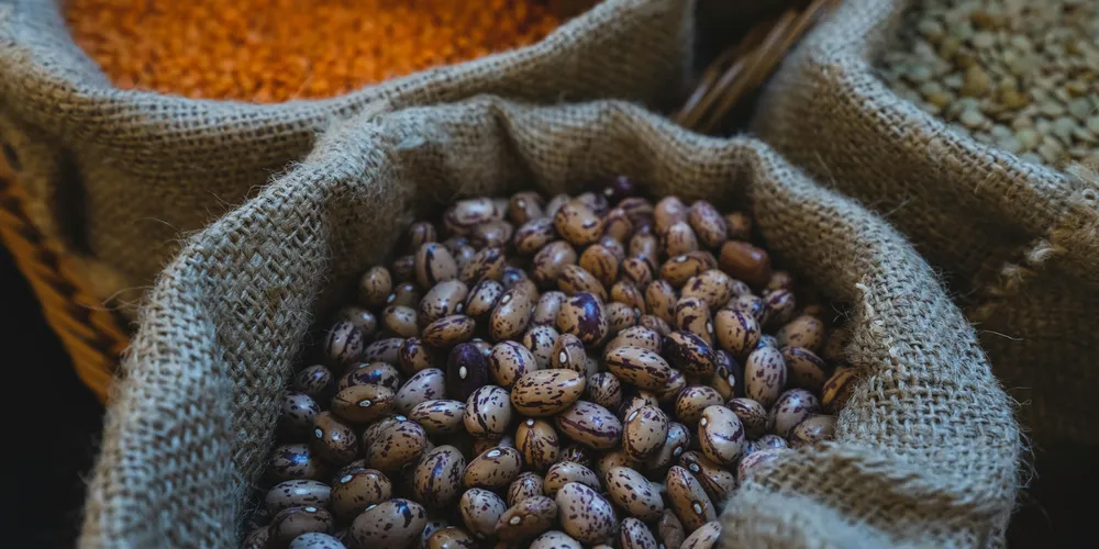 Apesar da melhora operacional, a receita ainda não cobre os custos totais