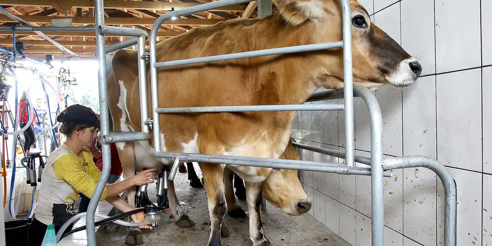 Quedas generalizadas impactaram na rentabilidade das indústrias e produtores rurais