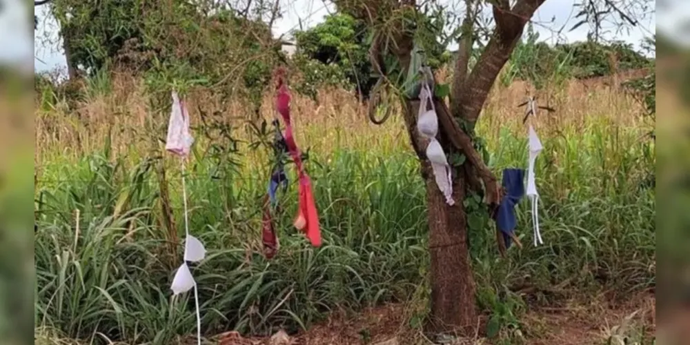 Ocorrência aconteceu em Paraíso do Norte