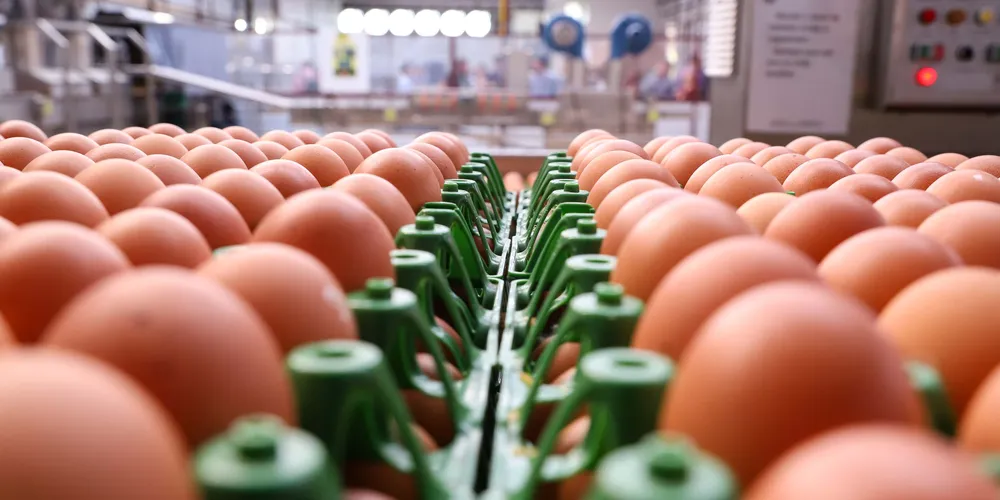 Preços atuais ainda estão 30% abaixo dos valores registrados no mesmo período do ano passado