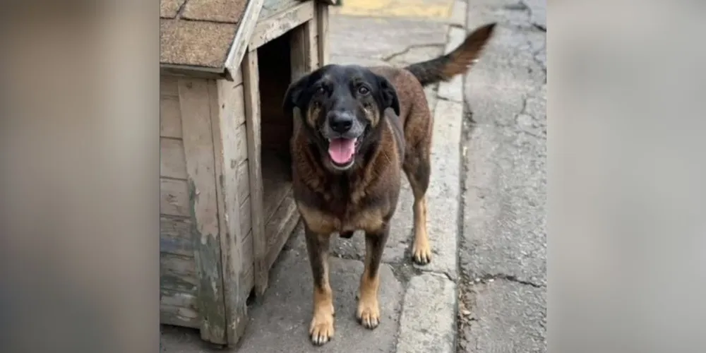 Os nomes dos suspeitos não são revelados por envolverem menores de idade