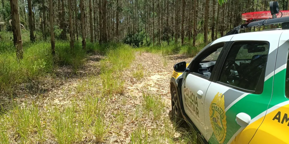 Suspeito foi preso e a arma apreendida