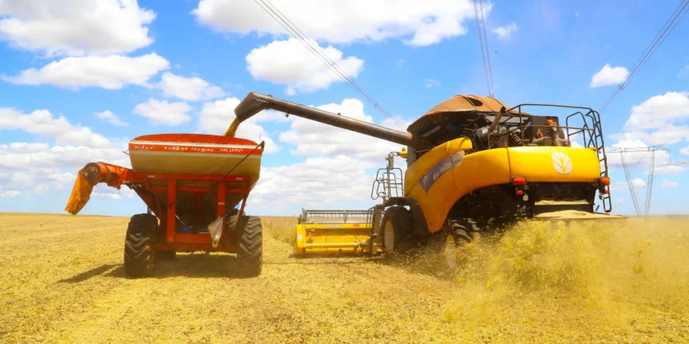 O projeto de lei abre espaço para que o Estado estimule e organize o uso de soluções de Inteligência Artificial aplicadas à logística rural