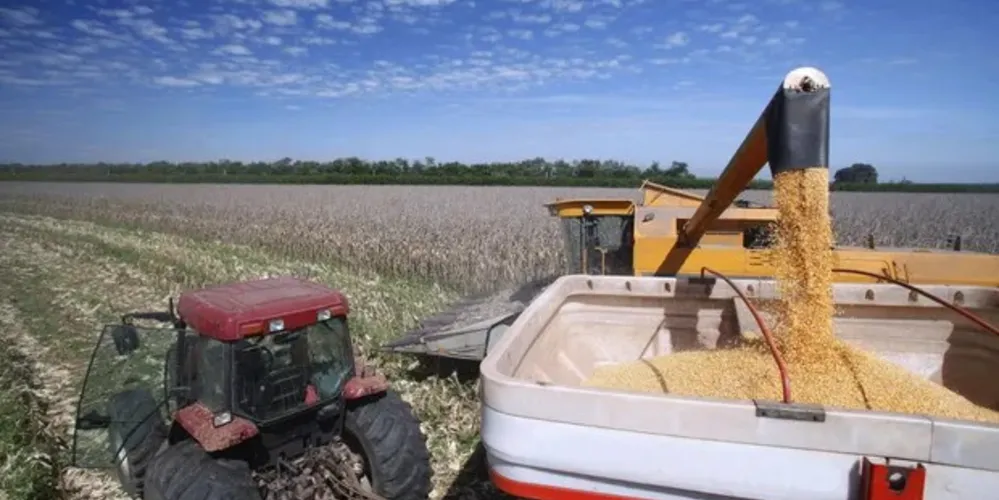 Extração de grãos