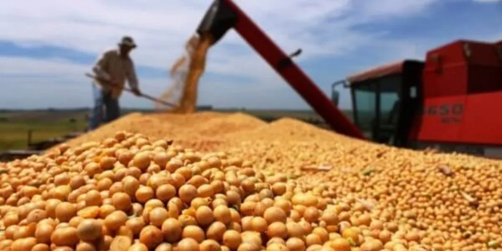 Produção de grãos em solo brasileiro