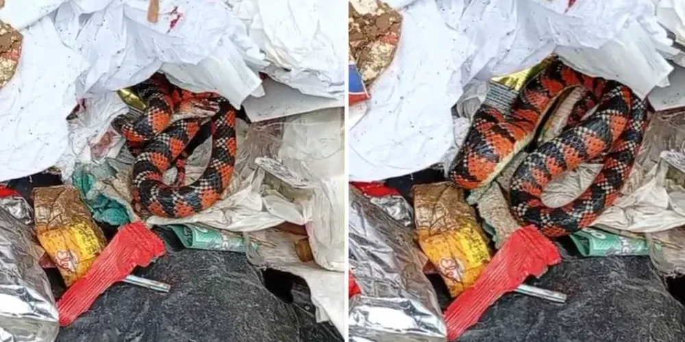 O saco não estava devidamente fechado