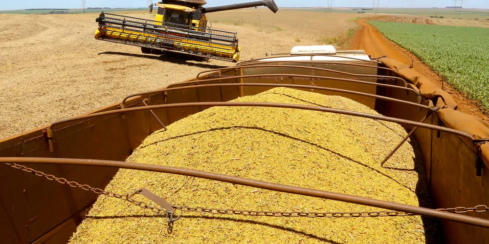 Paraná e estados de fronteira podem sentir impactos do aumento da safra paraguaia