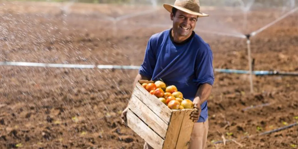 Agricultor durante atividade