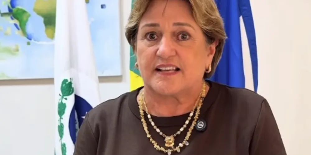 A secretária municipal de Educação de Ponta Grossa, Joana D'Arc Panzarini Egg