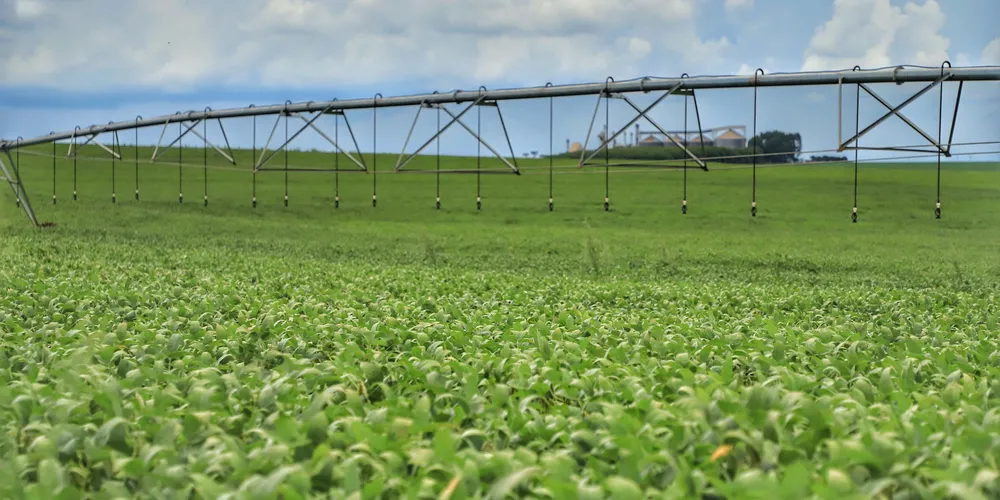 Previsão indica que o Brasil deve chegar a produção recorde do grão em 2026