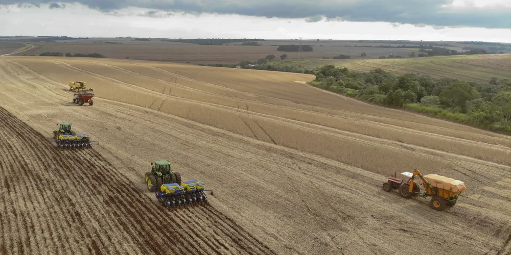 A colheita 2025/26 está mais avançada na região Oeste do Estado, que concentra cerca de 18% dos 5,78 milhões de hectares semeados neste ciclo