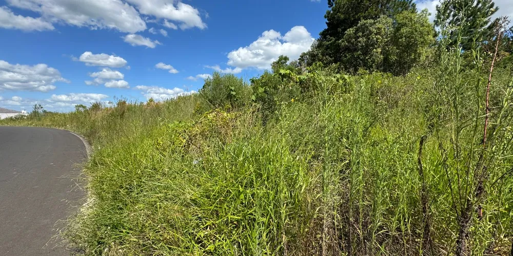 Caso o serviço não seja executado dentro do prazo, o município aplica multa e realiza a limpeza por meio de empresa terceirizada