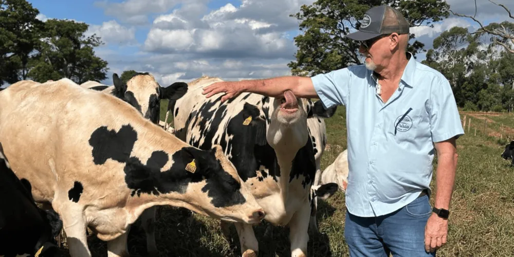 Imagem ilustrativa da imagem Pool Leite supera a marca de 1 bilhão de litros produzidos em um ano