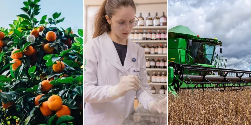 Imagem ilustrativa da imagem Confira as principais notícias do agronegócio da manhã desta sexta em PG e região