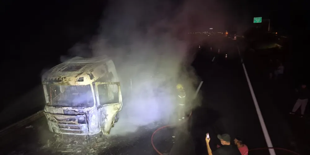 Caminhão transportava legumes em conserva