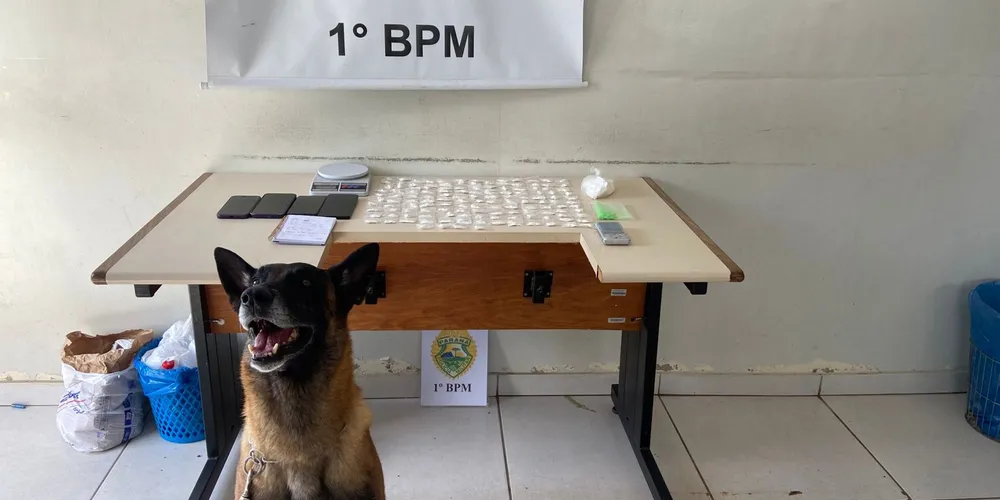 Com o cão de faro da equipe K9, outras porções de cocaína já fracionadas e prontas para a comercialização também foram localizadas