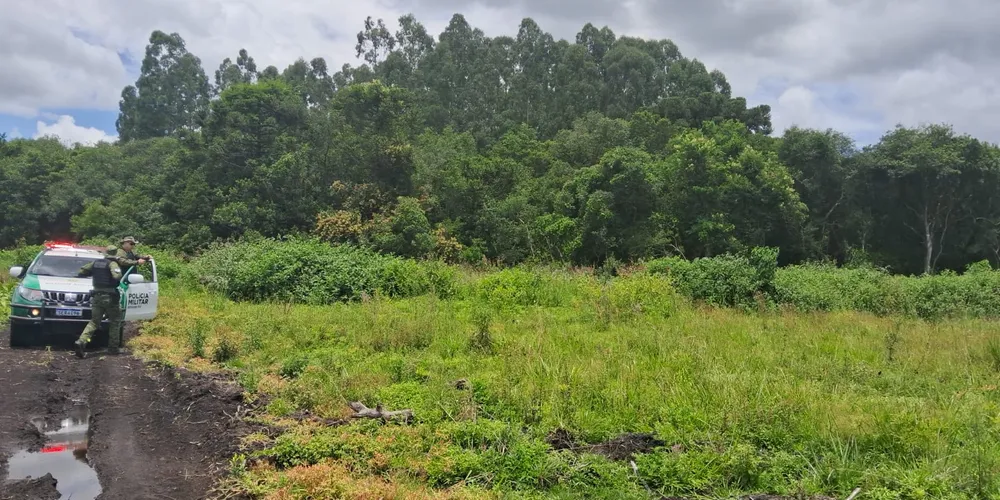 O local passou por análise técnica com uso de geoprocessamento e imagens de satélite