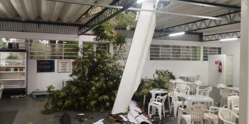 Um galho da árvore acabou quebrando parte do telhado e caiu dentro do estabelecimento