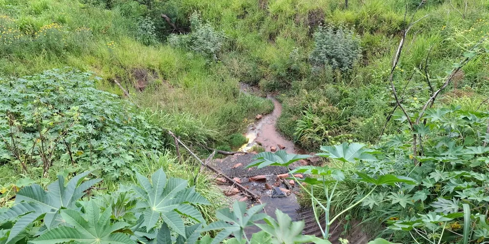 Imagem da nascente que o óleo vegetal caiu após o acidente, na beira da estrada da BR-376