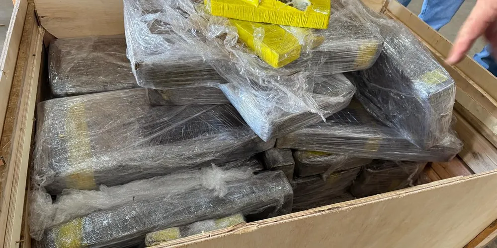 Apreensões resultaram na retenção de cerca de 262,1 kg de substância análoga à maconha e aproximadamente R$ 10.000,00 em mercadorias