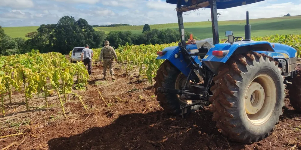 O condutor foi preso em flagrante pelos crimes de tráfico de drogas, desobediência, direção perigosa e exposição da vida de terceiros a risco