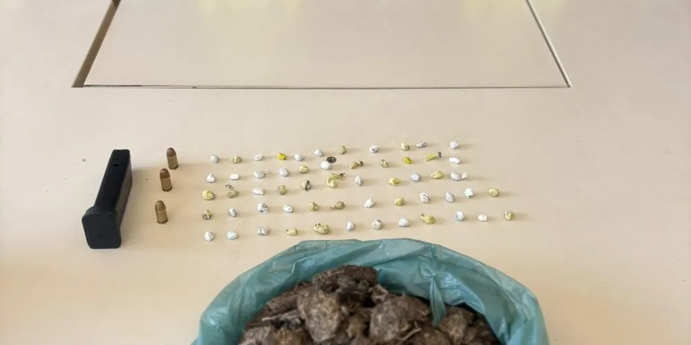 Foi encontrada uma sacola contendo 312 gramas de substância análoga à maconha