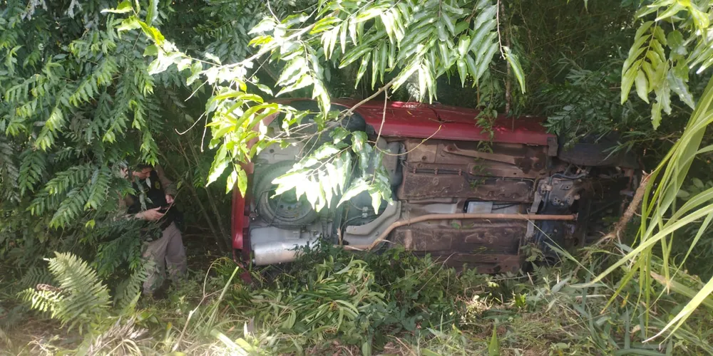 O veículo saiu da pista e colidiu contra uma árvore