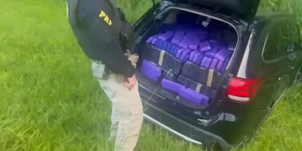 No interior do veículo, foram encontrados tabletes de maconha