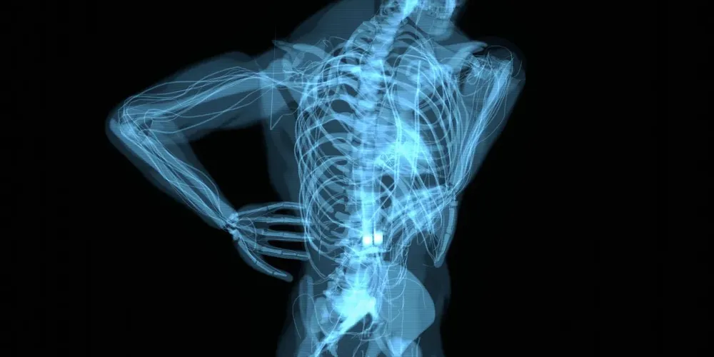 A decisão ocorre após o reconhecimento de inconsistências na versão preliminar do estudo, que detalha os primeiros testes em humanos