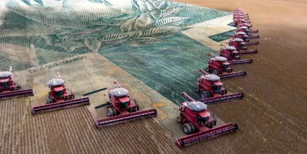 O milho teve crescimento de 23,6% e a soja de 14,6%