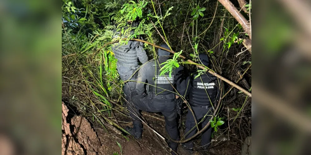 Desaparecida desde 17 de dezembro de 2025, o corpo de Daiane Alves foi encontrado em uma área de mata