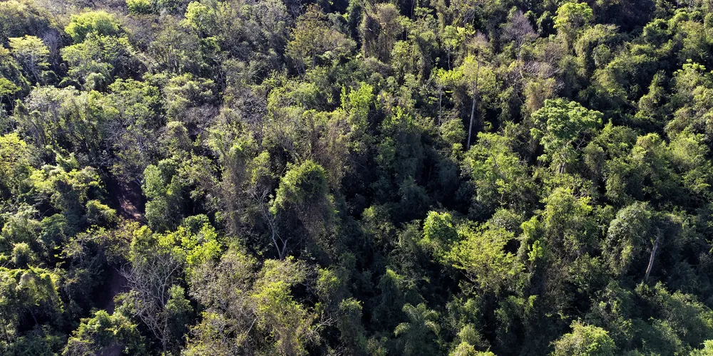 São, atualmente, 339 espaços devidamente reconhecidos, homologados pelo Instituto Água e Terra (IAT)