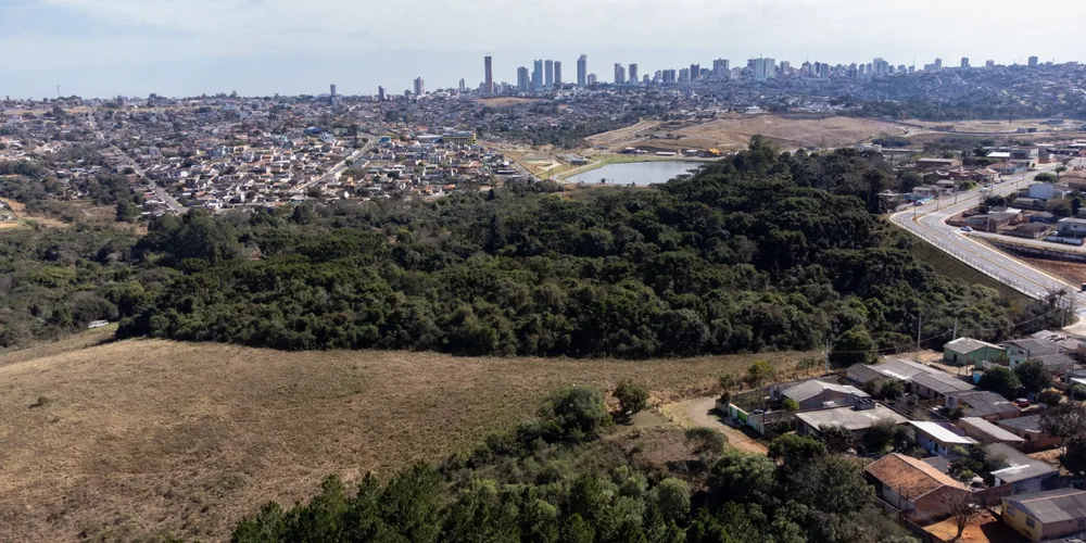 Área verde em Ponta Grossa