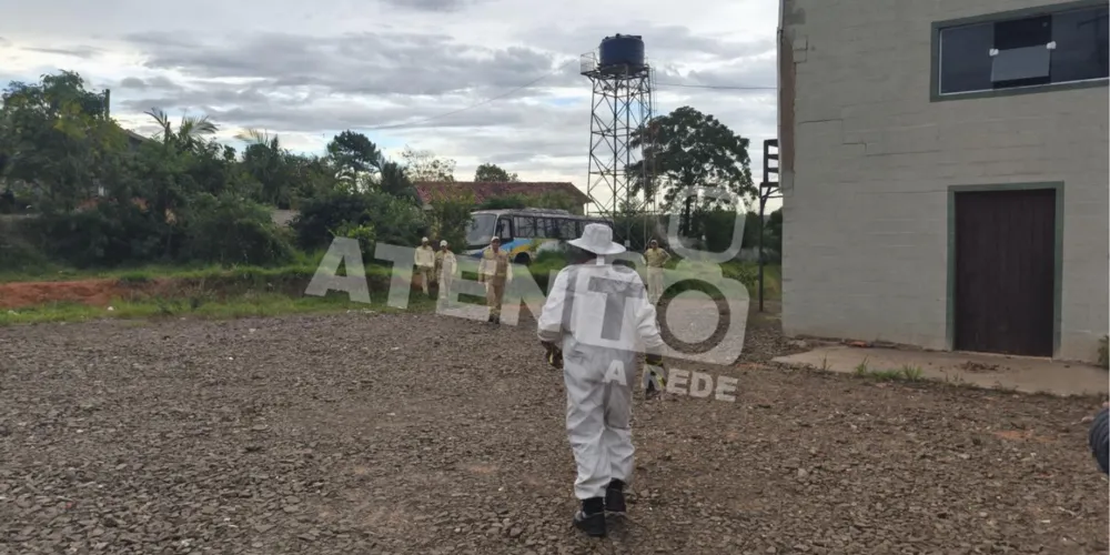 Os bombeiros utilizaram trajes adequados para garantir a segurança na operação