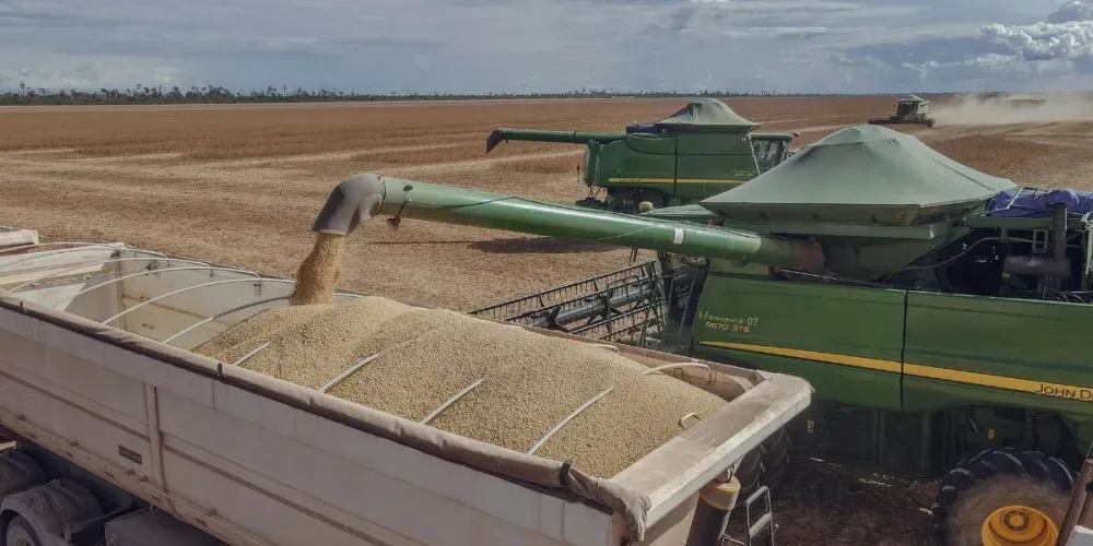 Desvalorização do dólar diminui a competitividade da soja