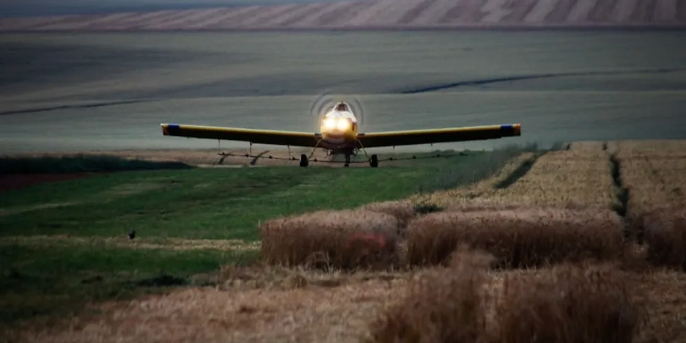 País é a segunda maior potência mundial do setor, ficando atrás somente dos Estados Unidos