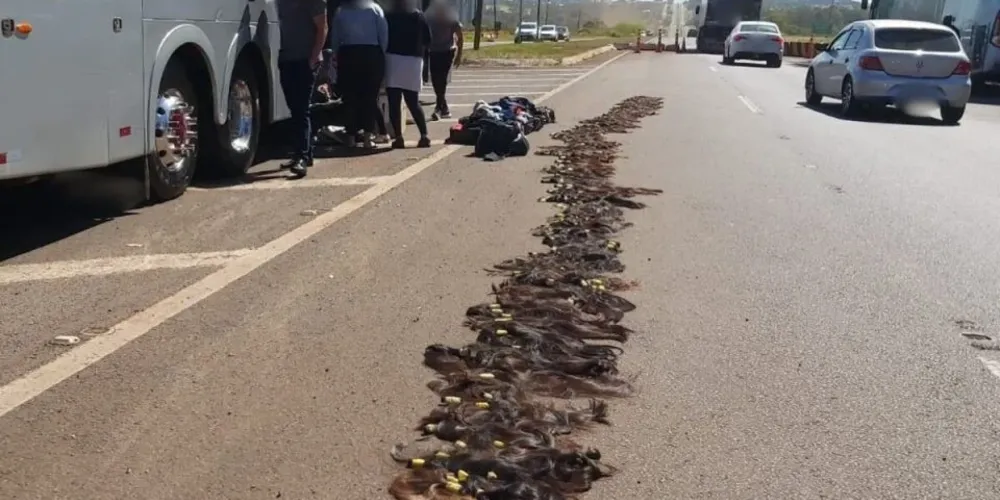 De acordo com a PRF, as malas pertenciam a quatro passageiras de nacionalidade paraguaia