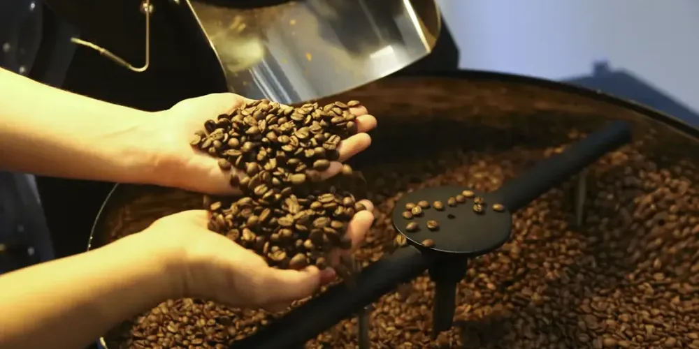 O Brasil alcançou US$ 16,1 bilhões em receitas com café no ano passado, novo recorde histórico