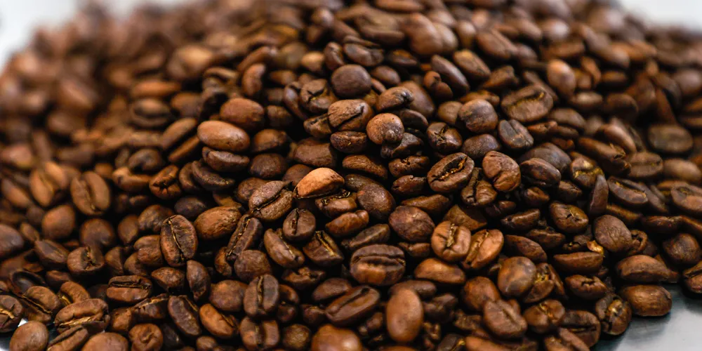 Produção pode superar 60 milhões de sacas, maior volume desde a temporada 2020/21