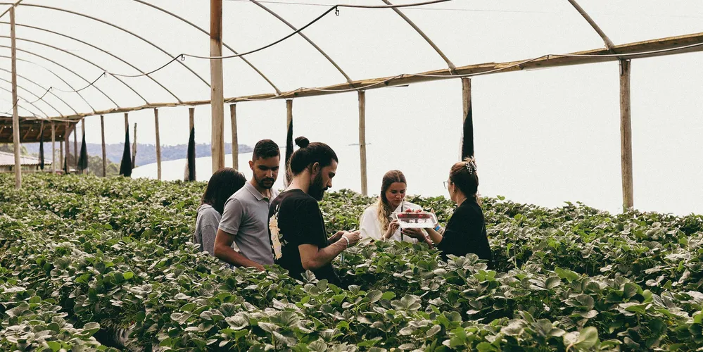 Evento técnico de circuito fechado acontece na propriedade de um cooperado