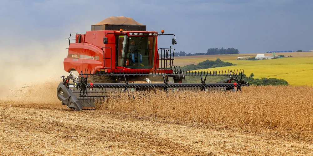 Possibilidade de uma menor safra de milho impacta a projeção