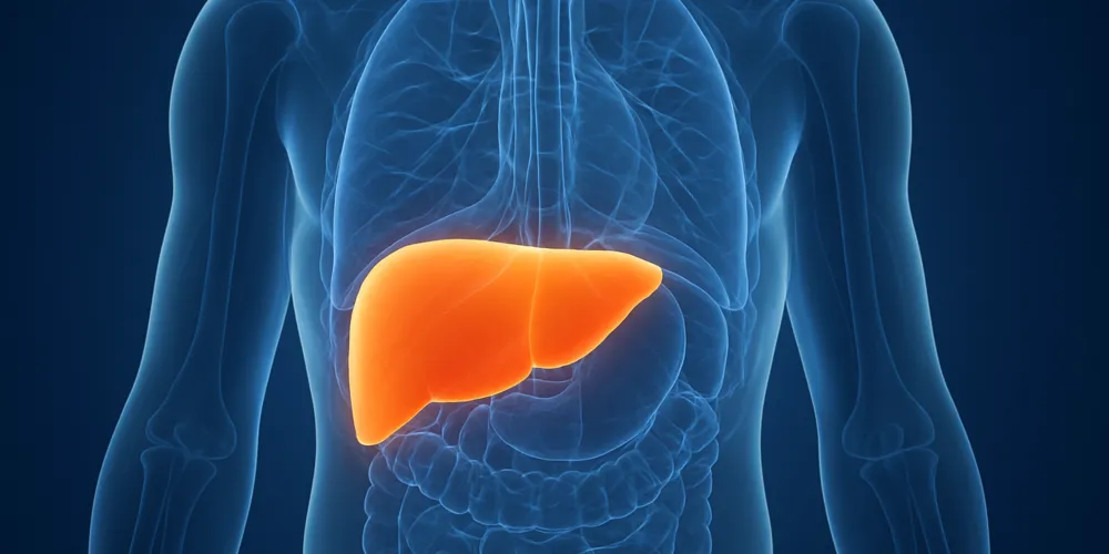 Estudos recentes estimam que 1 em cada 3 adultos já apresenta algum grau da doença — e o mais alarmante: a maioria não sabe.