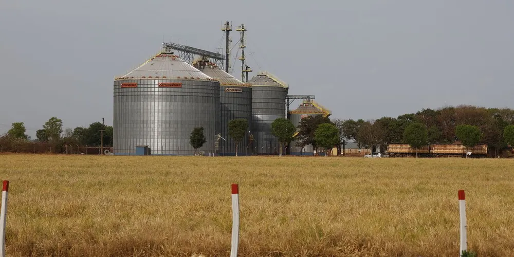 No ano passado, a agropecuária foi o principal motor do PIB nacional