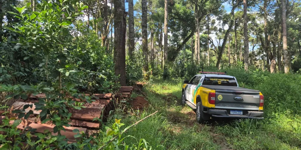 Área de atuação da Polícia Militar Ambiental