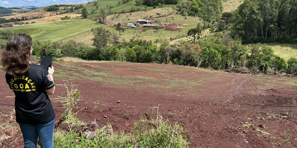 O Paraná conseguiu reduzir em 64,9% a supressão ilegal da Mata Atlântica entre 2023 e 2024