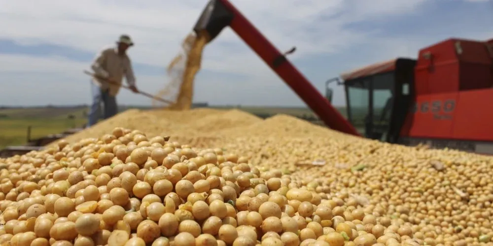 Produção de soja no Brasil