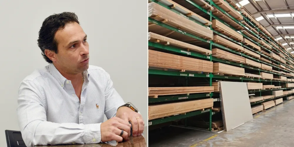 Presidente da Sindimadeira, Álvaro Scheffer Júnior